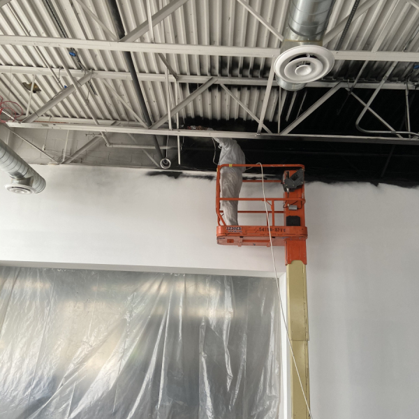 1_DDS-Paints-Auto-Lenders-in-Exton-Pennsylvania-1