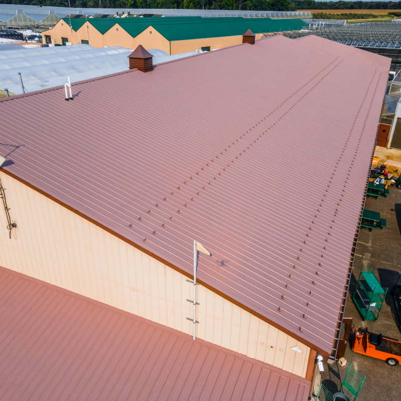 coating-painting-the-lucas-greenhouse-in-monroeville-nj-1