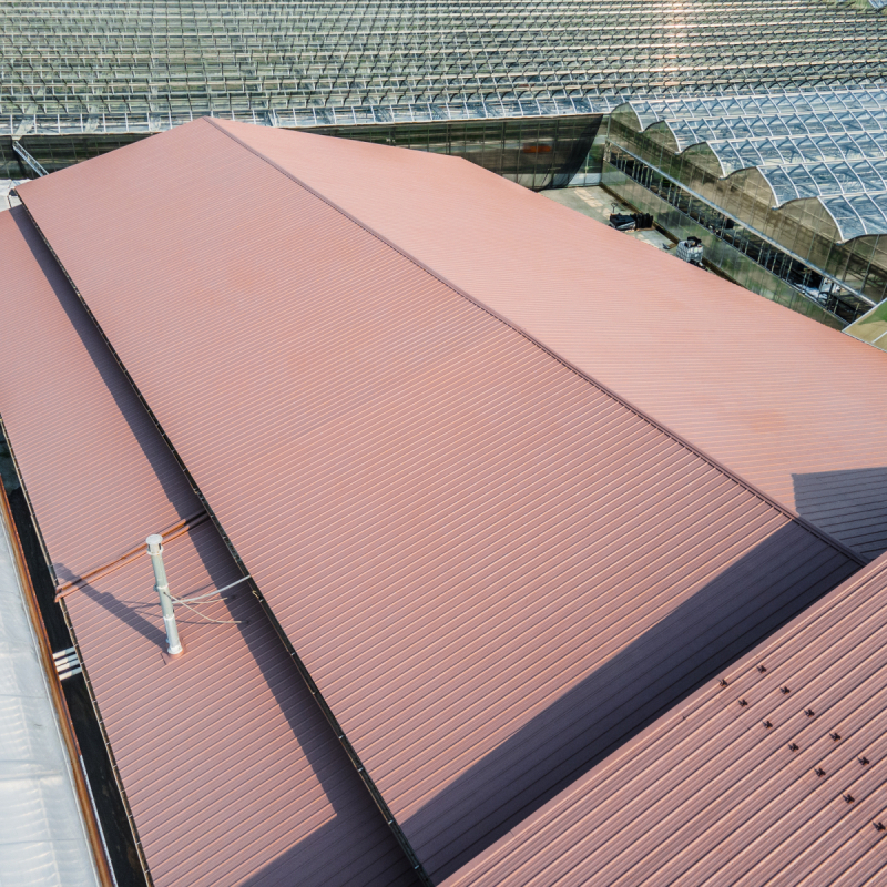 coating-painting-the-lucas-greenhouse-in-monroeville-nj-3