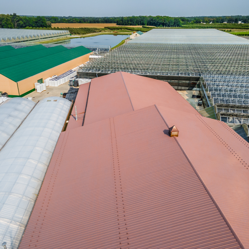 coating-painting-the-lucas-greenhouse-in-monroeville-nj-4