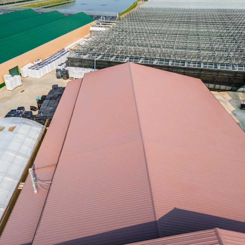 coating-painting-the-lucas-greenhouse-in-monroeville-nj-5