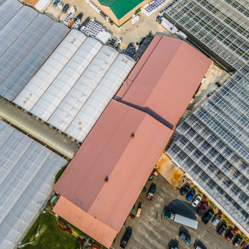 coating-painting-the-lucas-greenhouse-in-monroeville-nj-8