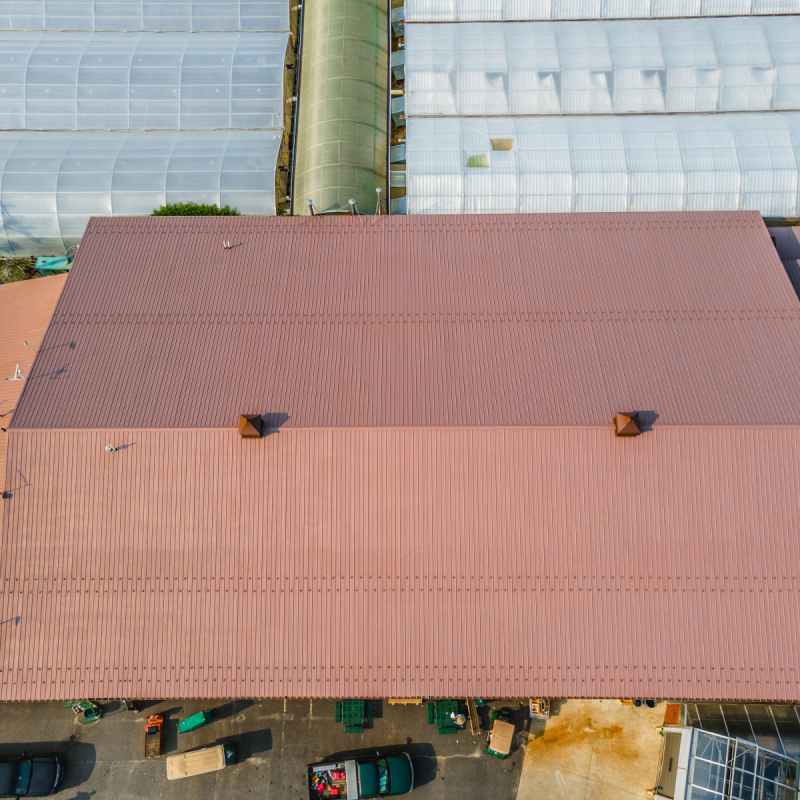 coating-painting-the-lucas-greenhouse-in-monroeville-nj-9