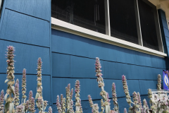 Exterior-Home-Painting-Update-Woodbury-NJ-3